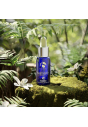 Сироватка дженекси серум iS Clinical GeneXC Serum 3, 75 mL