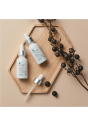 Концентрат Rejuran Concentrate Rejuvenating Vital Energy Booster 30mL