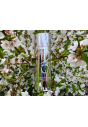 Сонцезахисний крем ZO Skin Health Sunscreen + Primer SPF 30 30mL